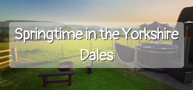 Springtime in the Yorkshire Dales